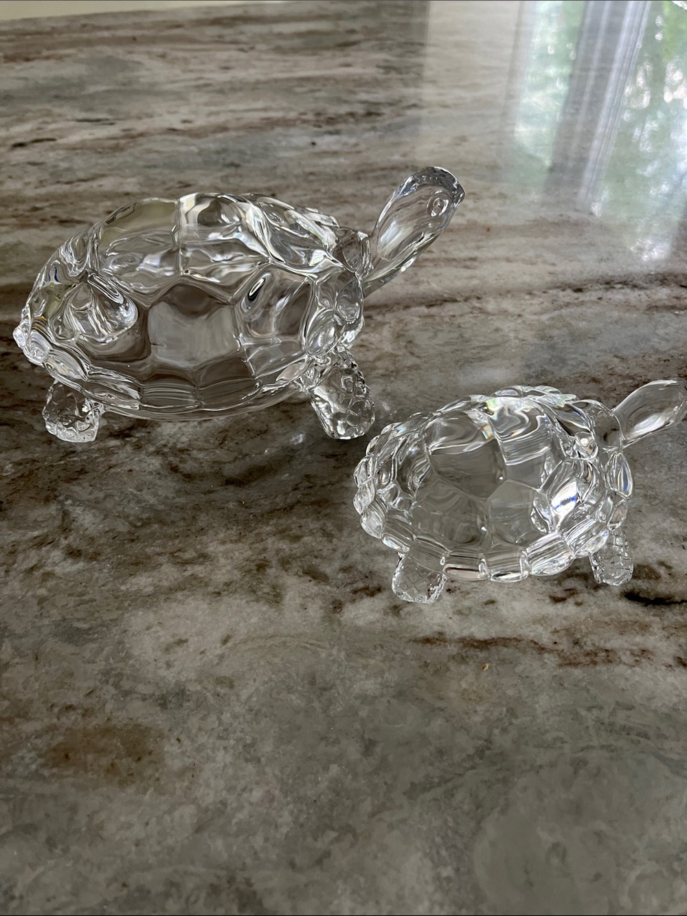 Clear Glass Turtle  (Set of 2)
